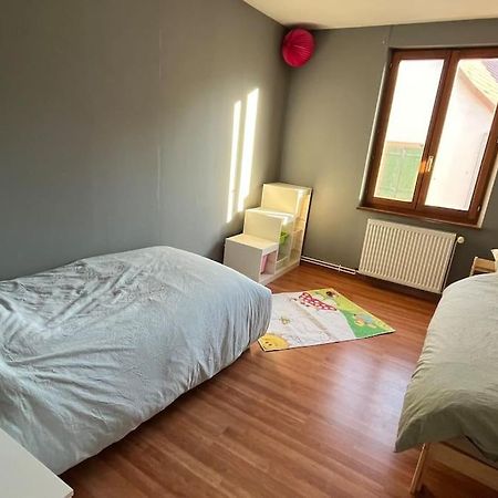 Grand Appartement A Barr Bagian luar foto