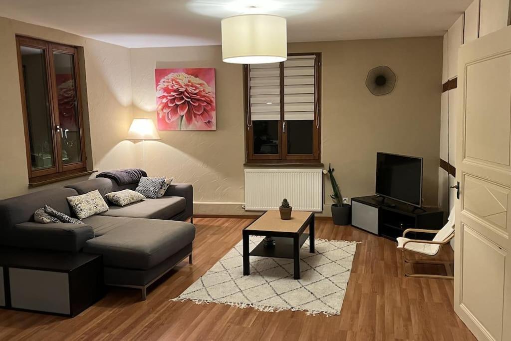 Grand Appartement A Barr Bagian luar foto